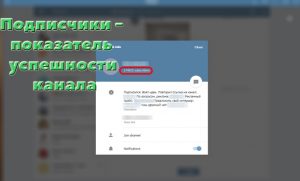 Кому можно написать в телеграм